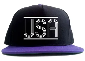 USA America Fall15 2 Tone Snapback Hat